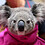koala